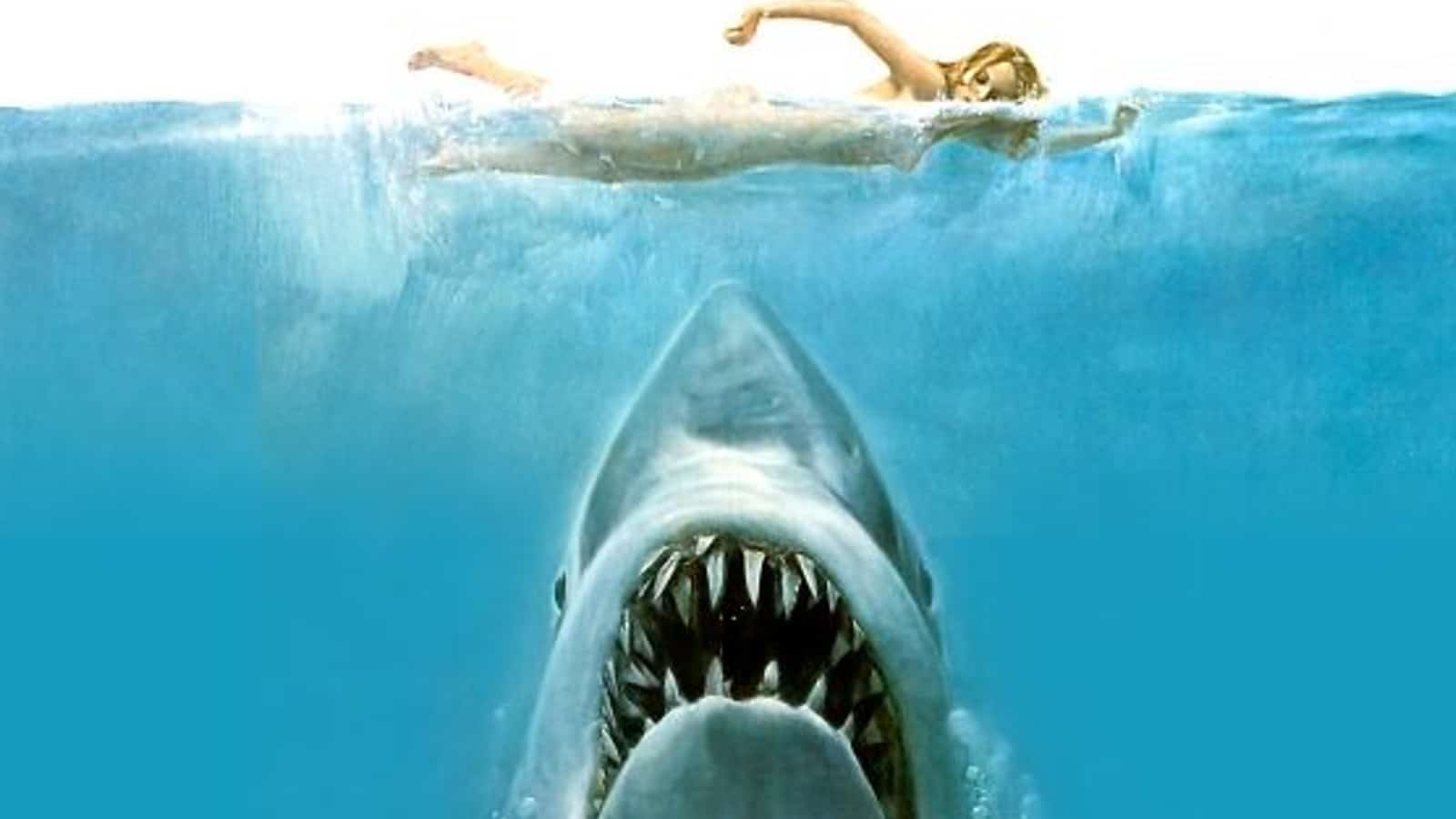 Historia viral del dÃ­a: Special / Jaws